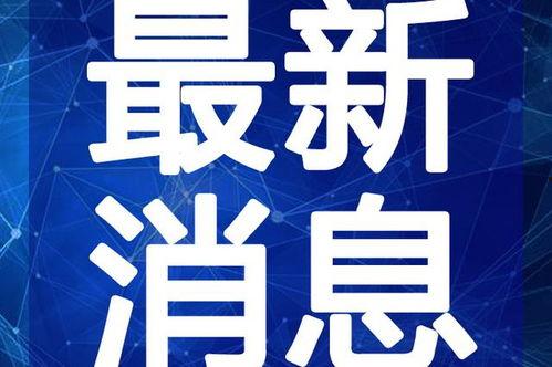 二八最新爆料消息新闻视频,揭秘新闻视频背后的惊人真相